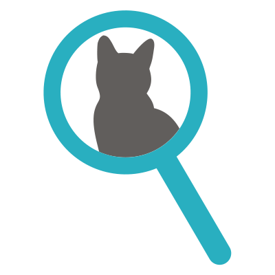 magnifying glass cat icon